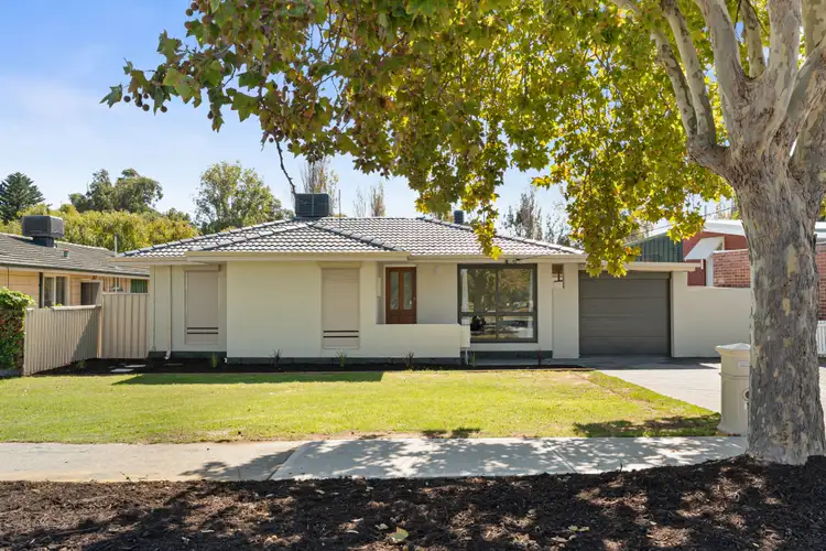 18 Cygnus Street