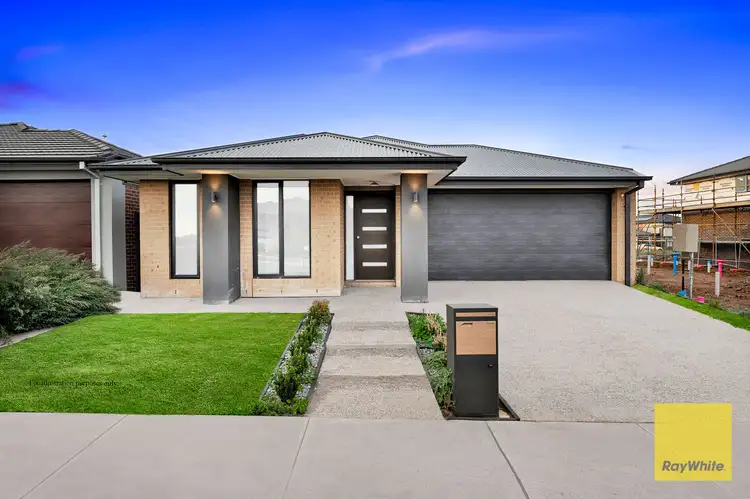 16 Cowal Street