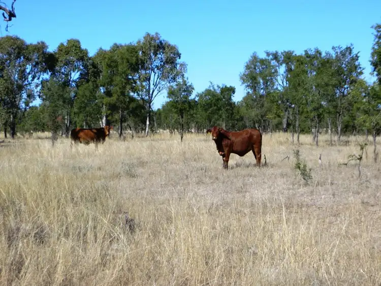 Fifth view of Homely rural property listing, THE CHEQUERS, Dulacca QLD 4425