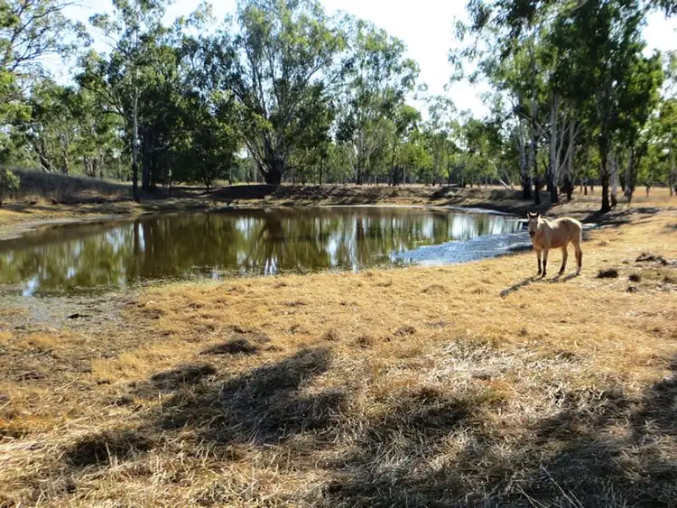 Seventh view of Homely rural property listing, THE CHEQUERS, Dulacca QLD 4425