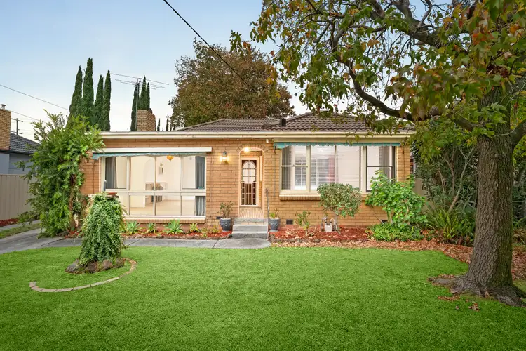 58 Jaguar Drive