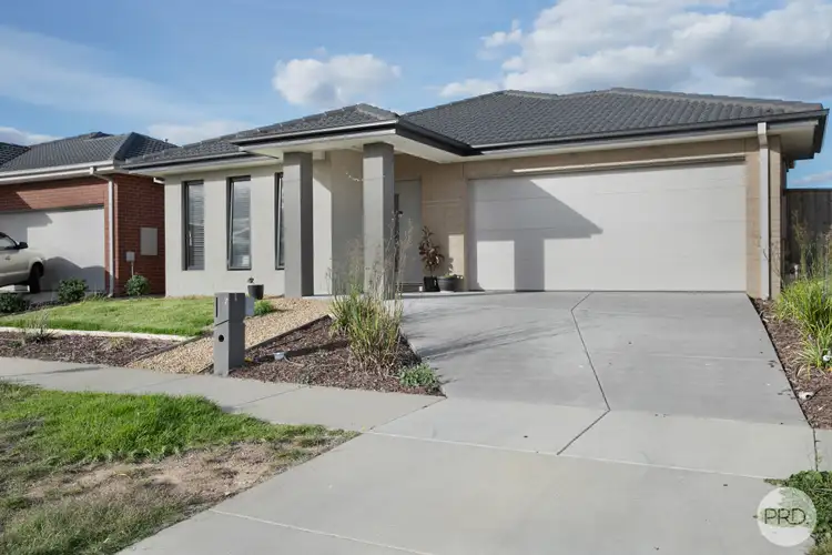 7 Kimball Street