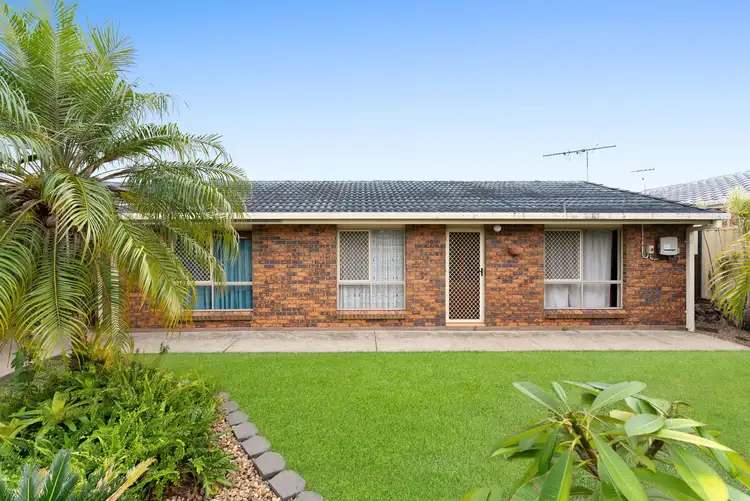 39 Lycoris Street