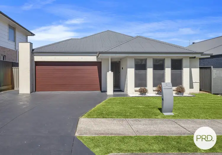 8 Polsson Street