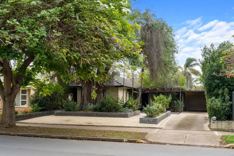 43 Kolapore Avenue