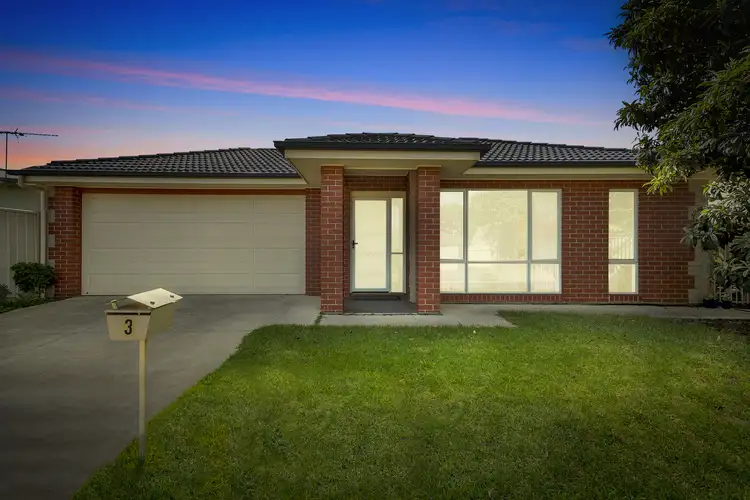 3 Wyn Street