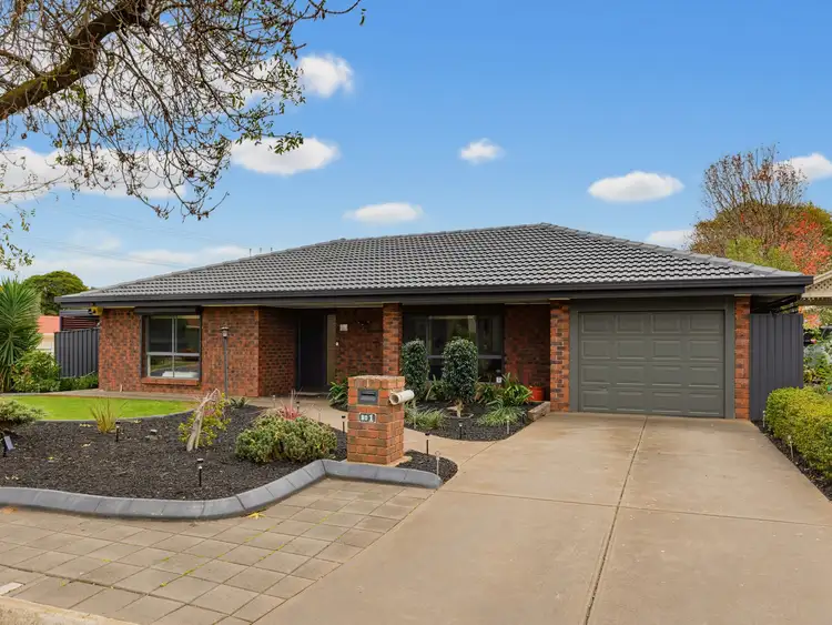 1 Mccarthy Avenue