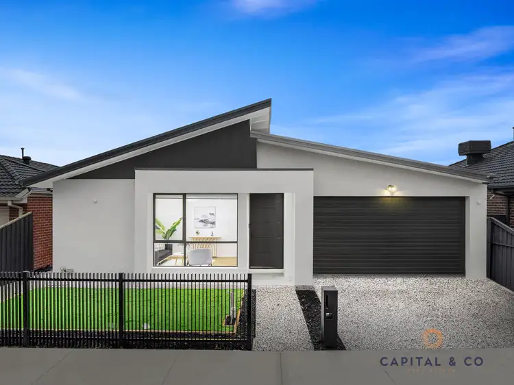 31 Moonstone Street