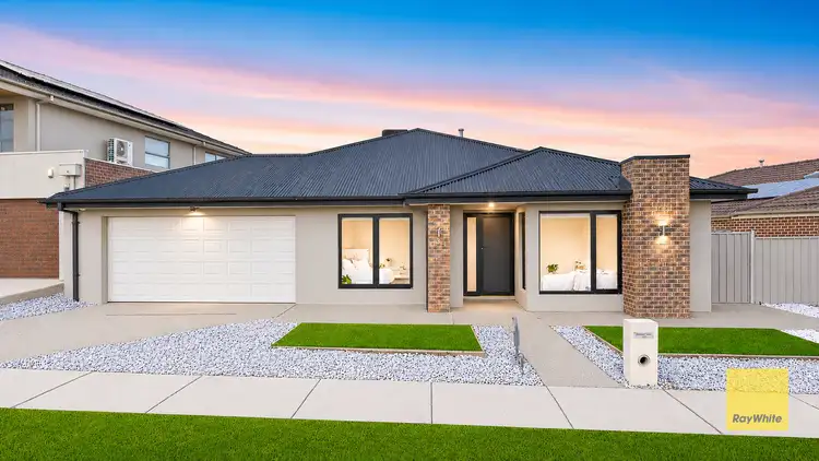 31 Larissa Street