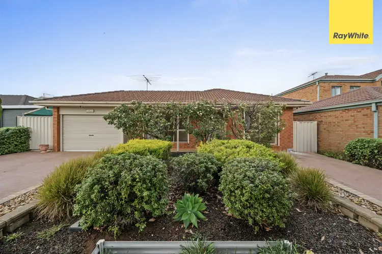 11 Todman Court