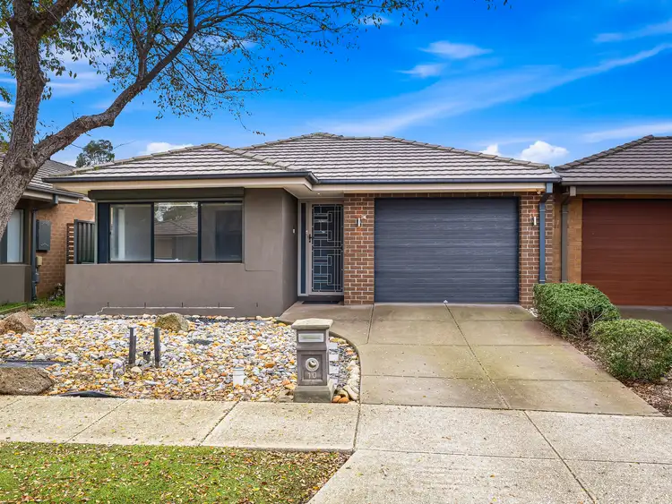 10 Bindarri Road
