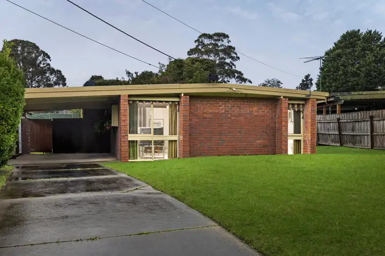 3 Lutana Court