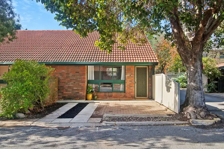 58 Portrush Road