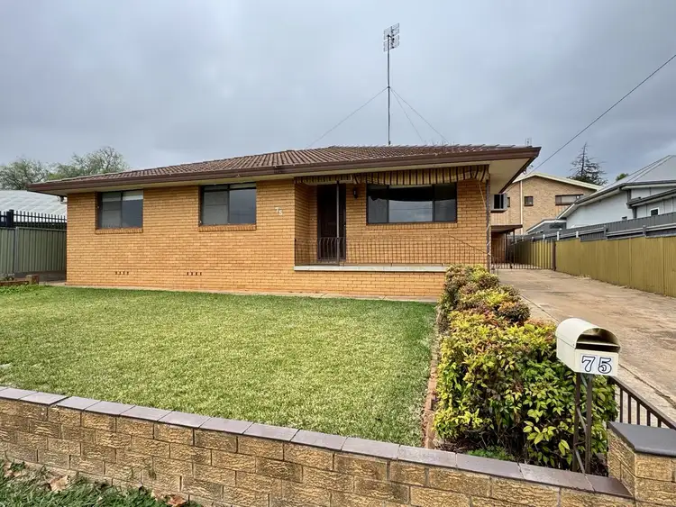 75 Currajong Street