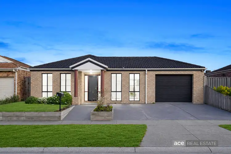 4 Saddle Wyn,