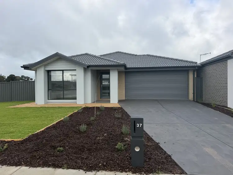 37 Kingparrot Circuit