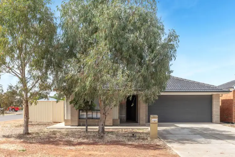 34 Olive Grove