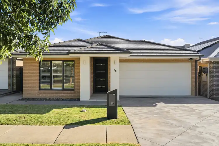 75 Farview Drive