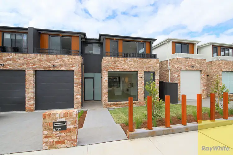 4/37 Cardigan Road