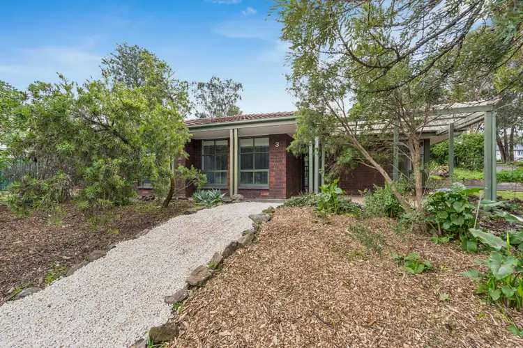 3 Thiele Avenue