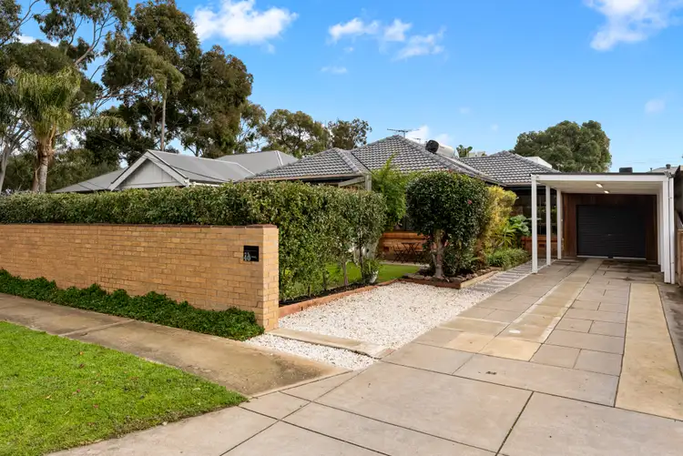 40 Canino Drive