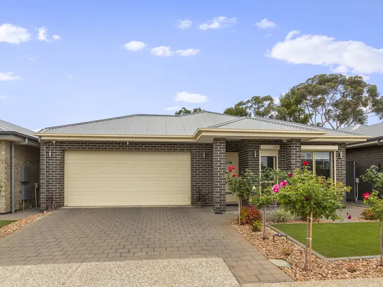 29 Owen Place