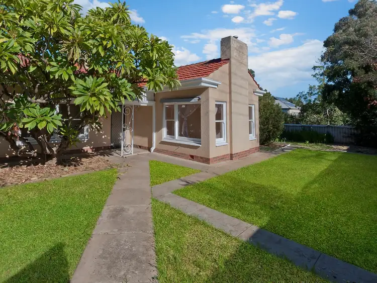 40 Springbank Road