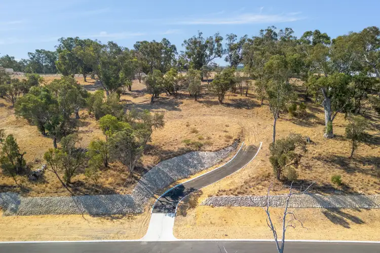 Lot 816 Messmate Grove