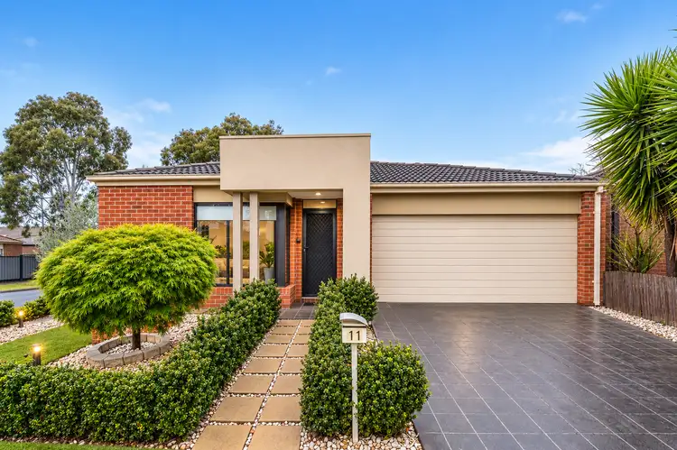 11 Cassinias Grove