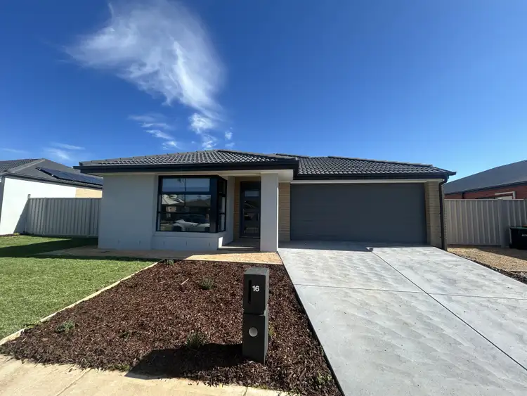16 Bourke Drive