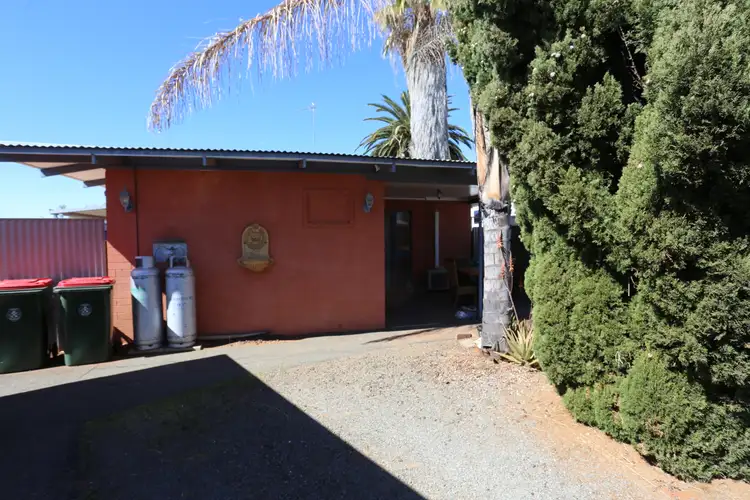 34 Pittosporum St