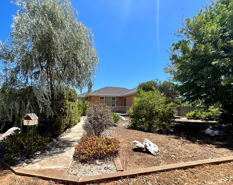 7 Cheek Avenue
