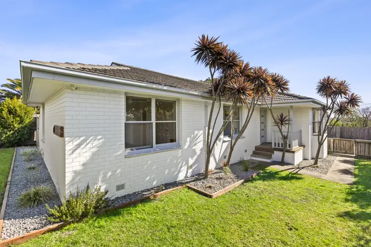 62 Peter Street