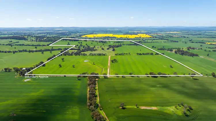 406 Crawley's Road, Henty NSW 2658