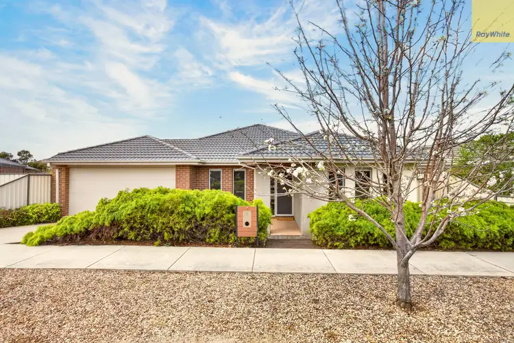 7 Aranar Court