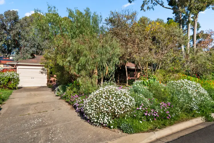 84 Broadmeadow Drive