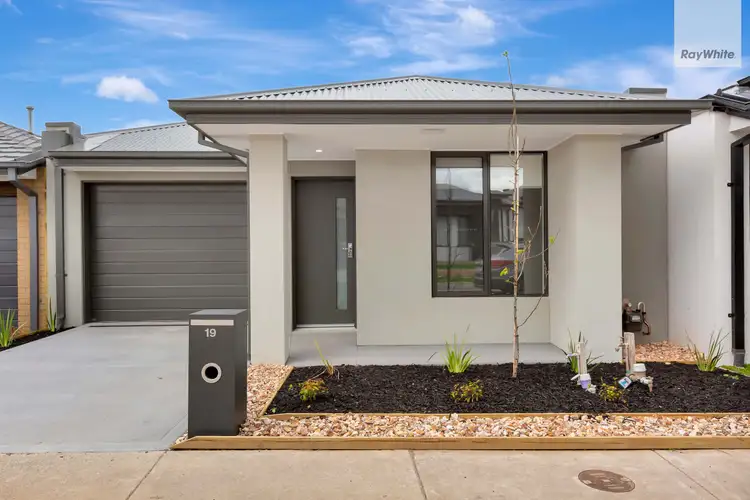 19 Wynnesward Street