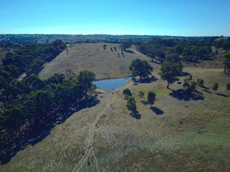 Fourth view of Homely rural property listing, 1547 Harrogate Road, Harrogate SA 5244