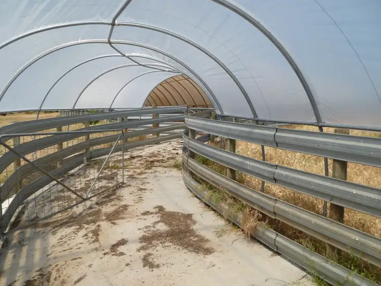 Second view of Homely rural property listing, 71 Gingin Brook Rd, Gingin WA 6503