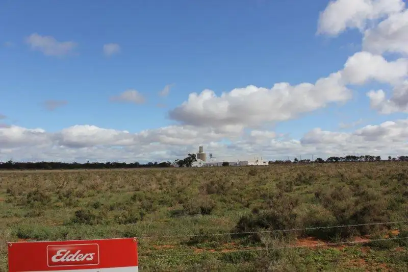 Main view of Homely rural property listing, 41 Beaton Road, Southern Cross WA 6426