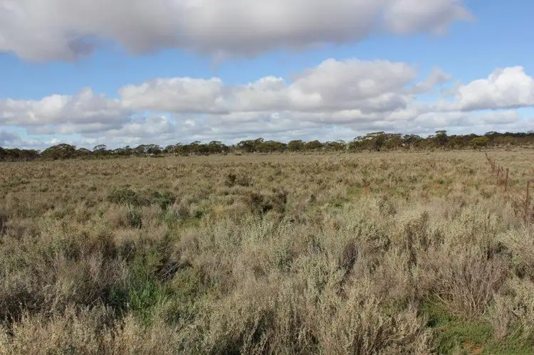 Third view of Homely rural property listing, 41 Beaton Road, Southern Cross WA 6426