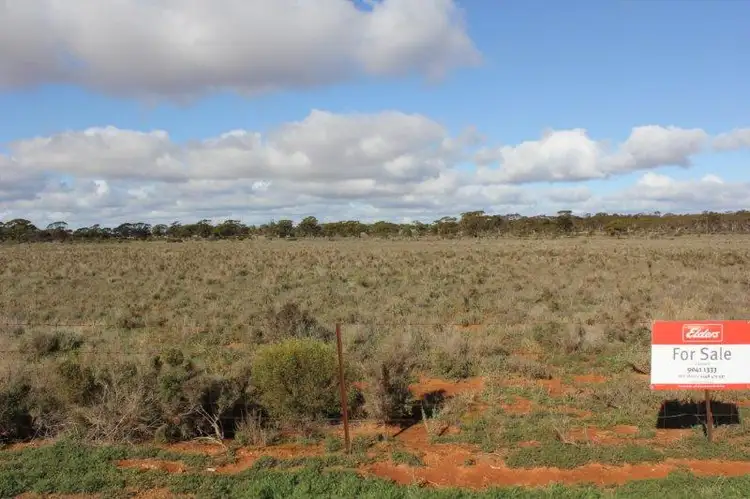 Fifth view of Homely rural property listing, 41 Beaton Road, Southern Cross WA 6426