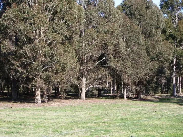 Third view of Homely rural property listing, Lot 1 Silbys Road, Clydebank VIC 3851