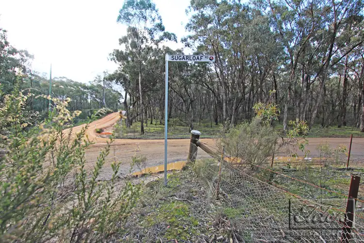 Second view of Homely rural property listing, 309 Sugarloaf Road, Axedale VIC 3551
