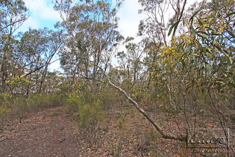 Third view of Homely rural property listing, 309 Sugarloaf Road, Axedale VIC 3551