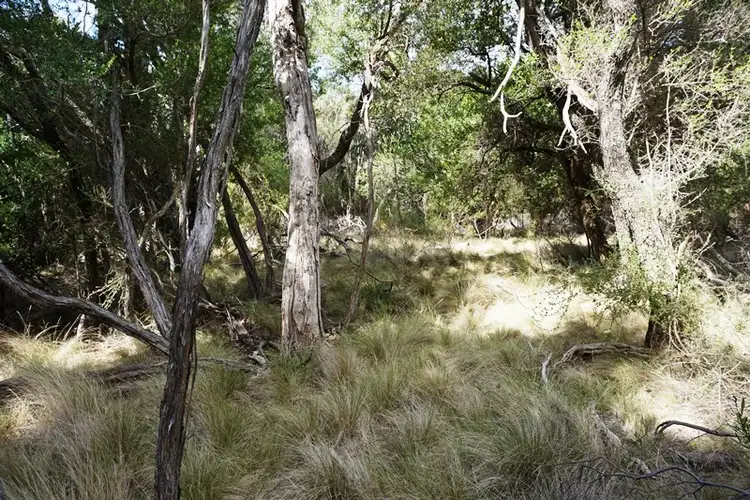 Third view of Homely land listing, PID 6432381 Rooks River Road, Cape Barren Island TAS 7257