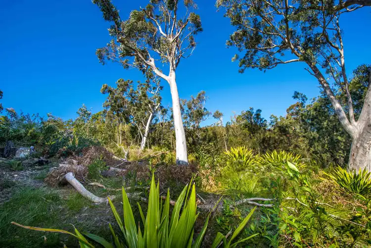 Sixth view of Homely land listing, 3 Pillinda Court, Nelson Bay NSW 2315