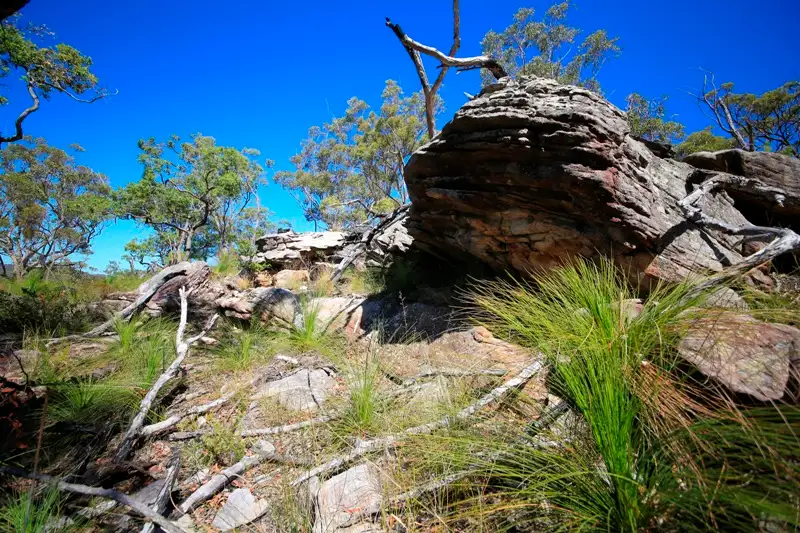Main view of Homely rural property listing, Lot 2762 Kangaroo Creek Road, Kangaroo Creek NSW 2460