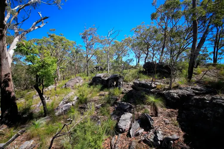 Fourth view of Homely rural property listing, Lot 2762 Kangaroo Creek Road, Kangaroo Creek NSW 2460