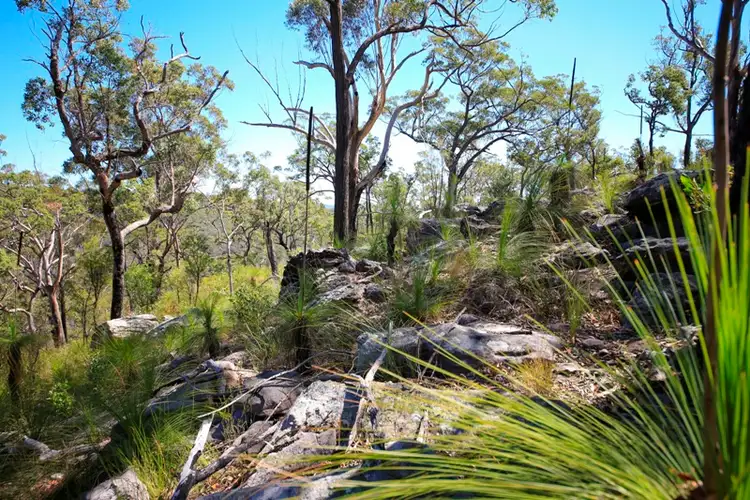 Seventh view of Homely rural property listing, Lot 2762 Kangaroo Creek Road, Kangaroo Creek NSW 2460